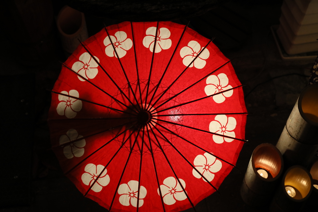 山鹿灯籠浪漫百華百彩