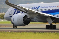 ＡＮＡ７８７