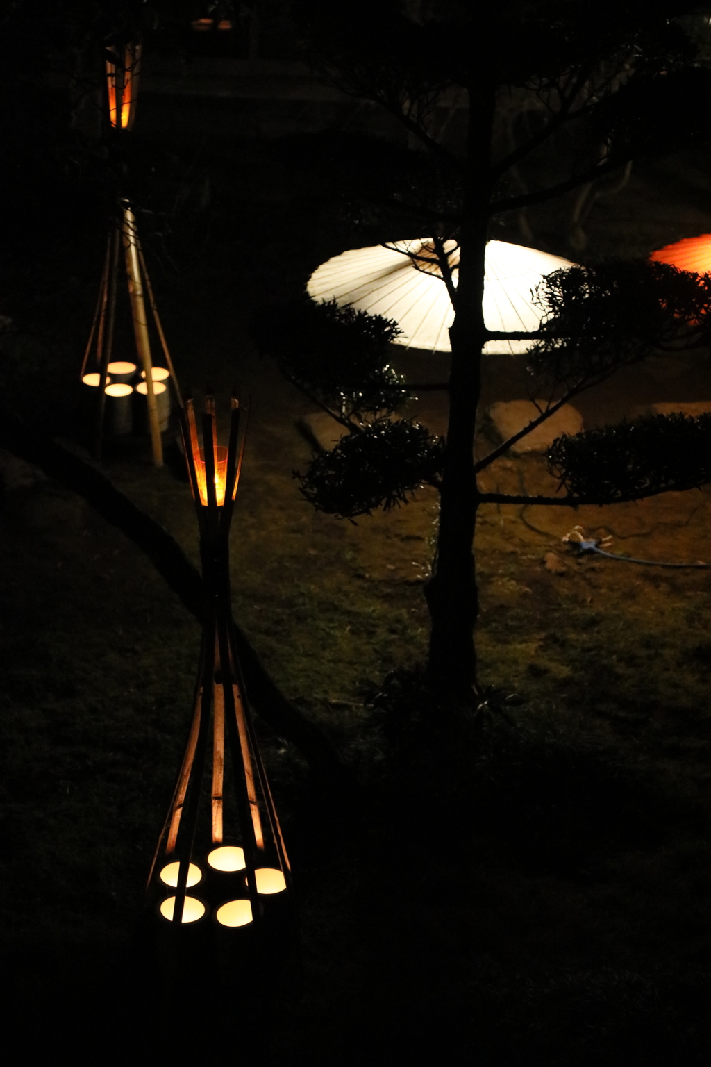 金剛乗寺の灯り