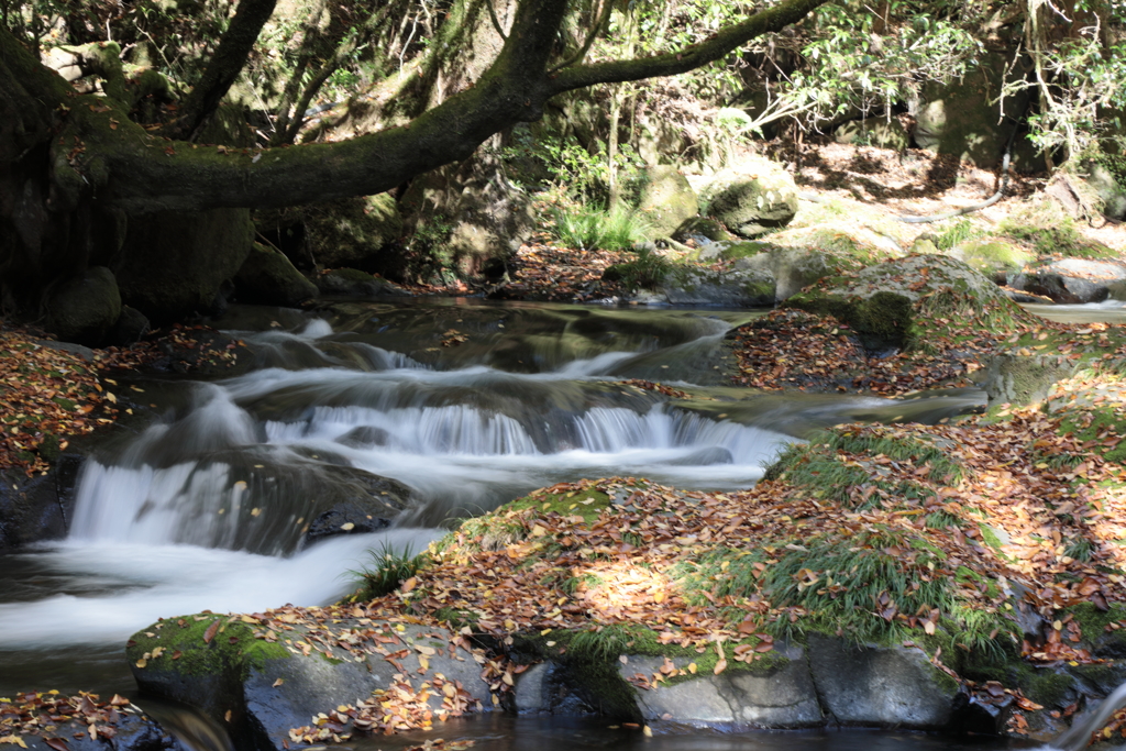 山水