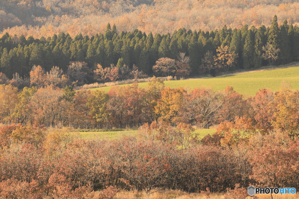 久住の風景