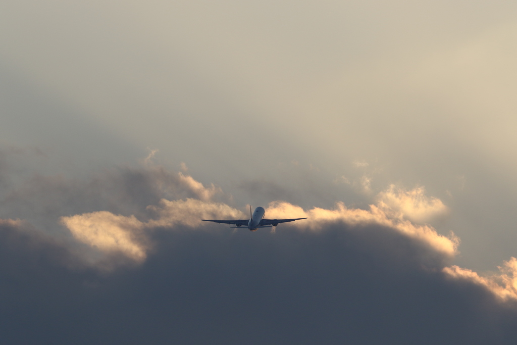 空へ
