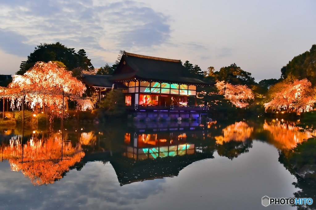 平安神宮紅しだれコンサート By かじんこ Id 写真共有サイト Photohito