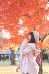 代々木公園の紅葉