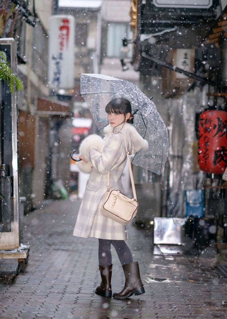 雪が降った日