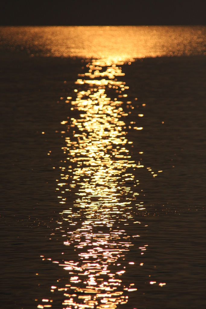 海の黄金色