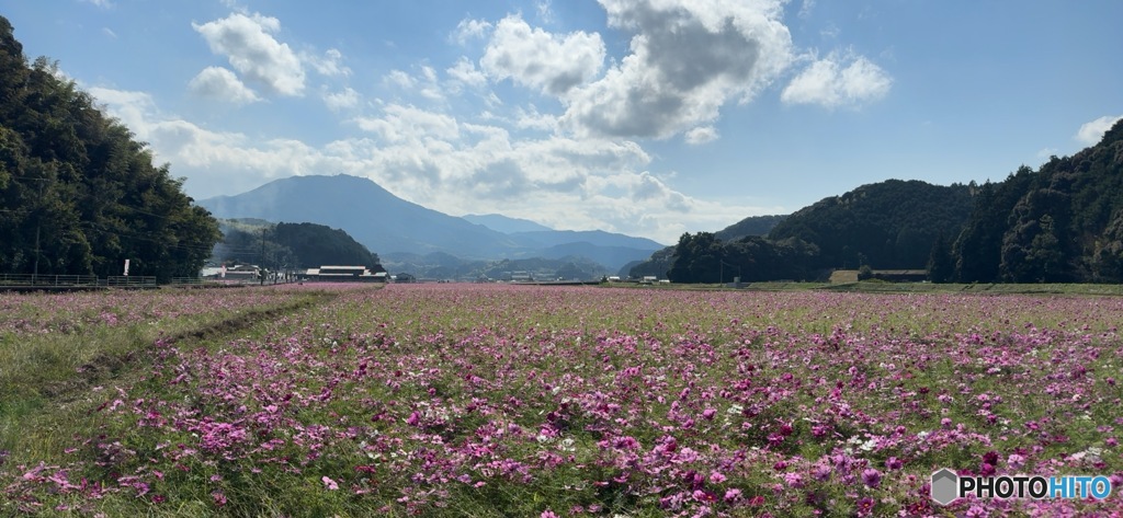 通りがかりに寄り道
