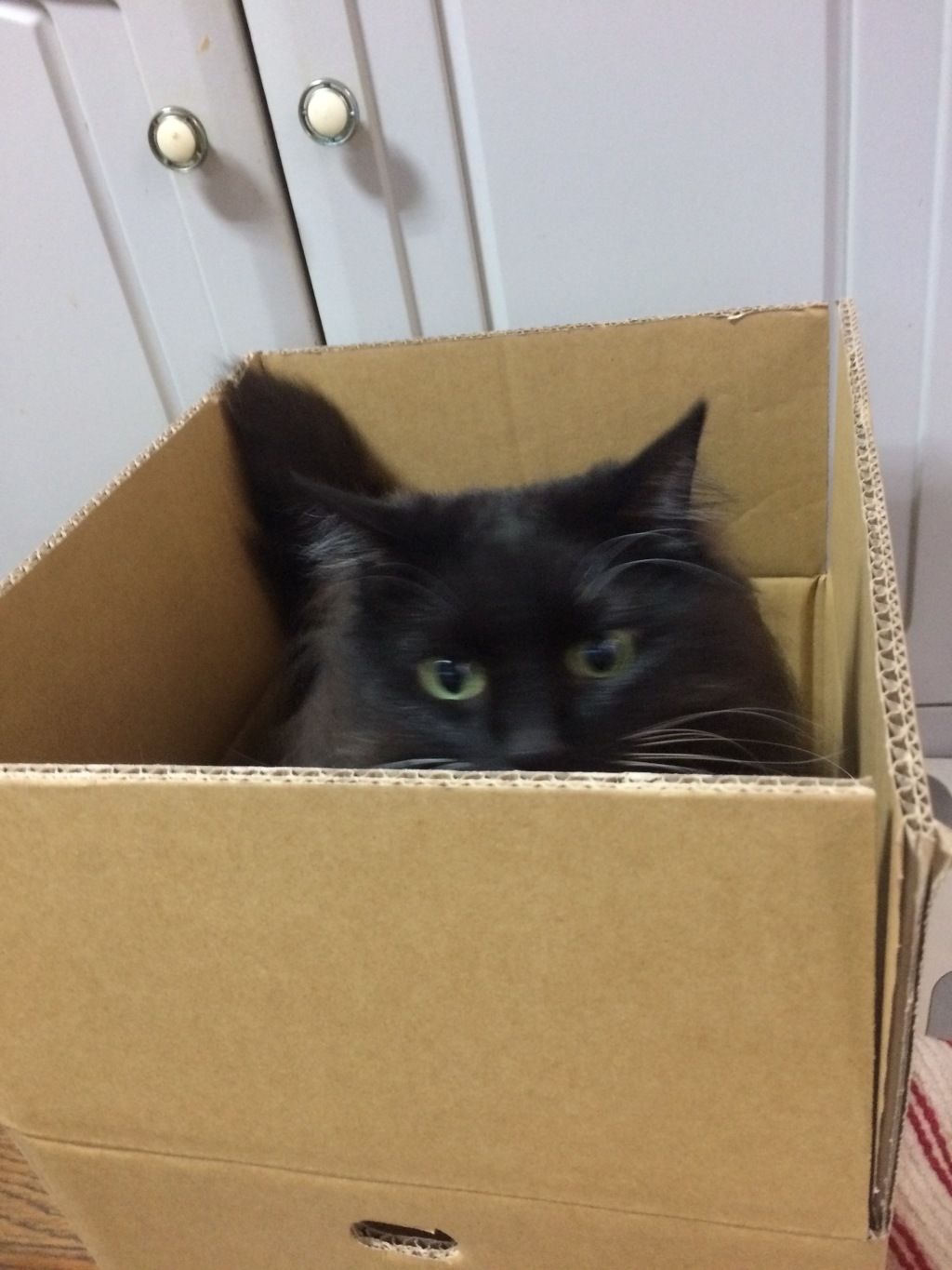 やった～