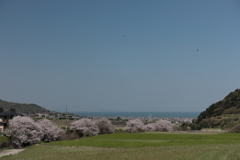 気持ちのいい空だ