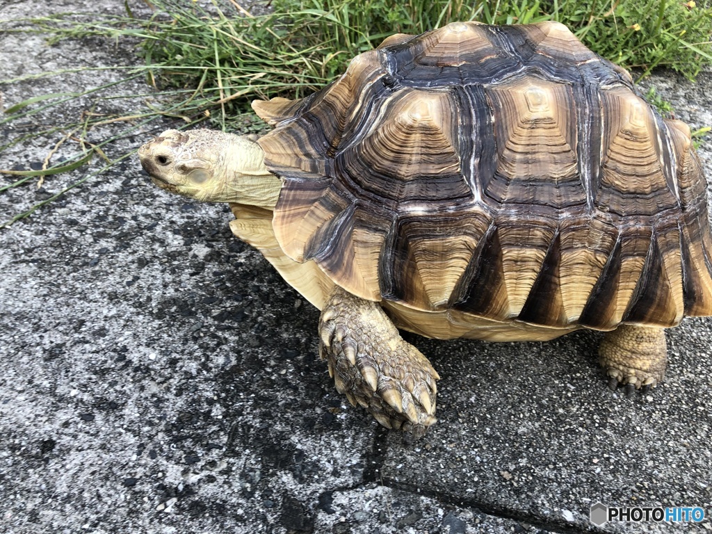久しぶりのご対面