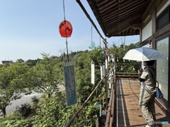 紫陽花寺