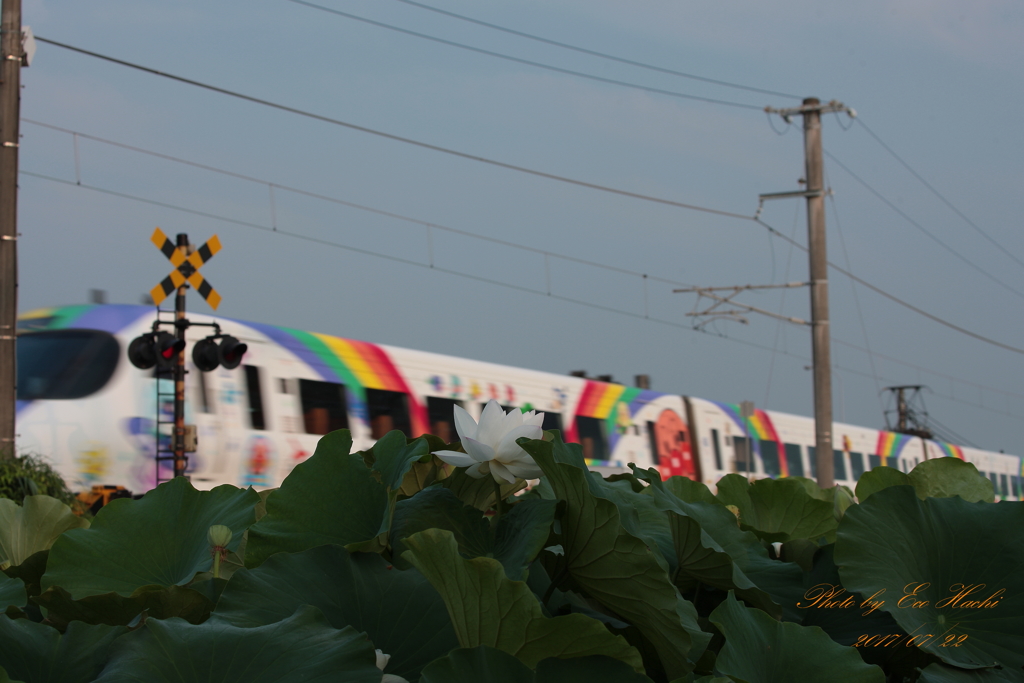 早起きの列車