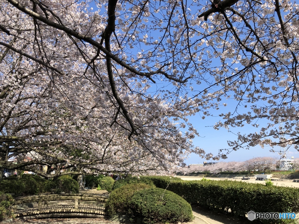 今の時期なんですが（−＿−；）