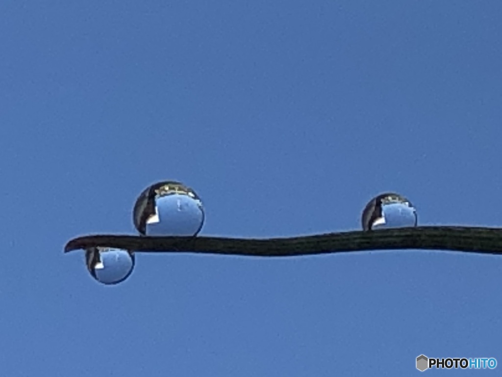 仲良く3人で