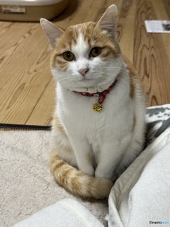 家族が増えました。