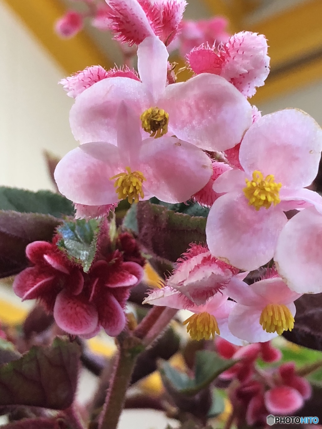 花屋さんにて
