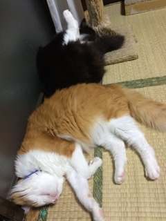 仲良し