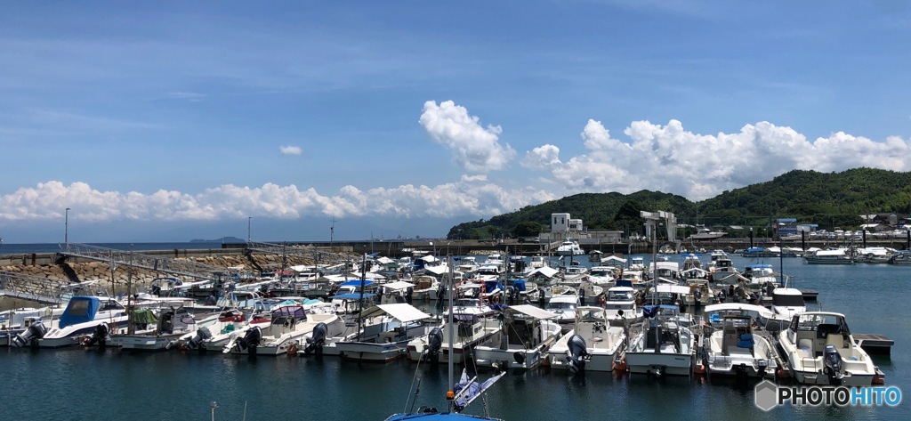 今日は出番無いかな