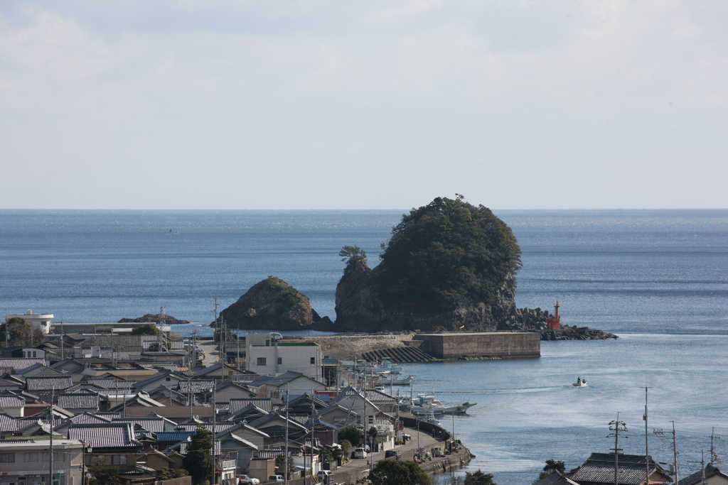 海のカタツムリ