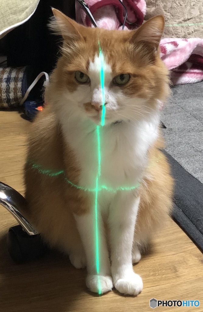 標的になっちゃいました