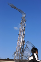 青空に映えますね