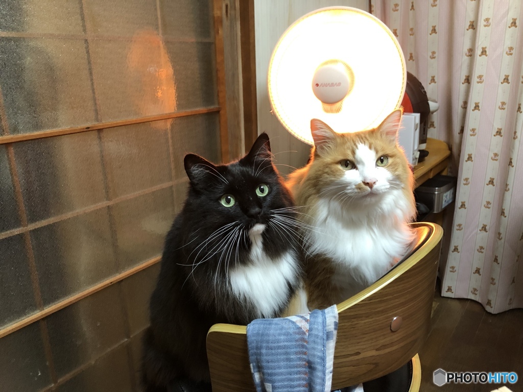 今日は寒いのか