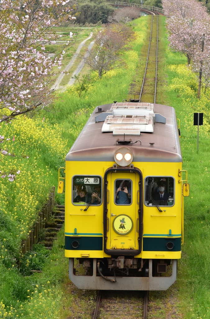 いすみ鉄道の春①