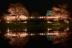 小湊鉄道　夜桜と水鏡