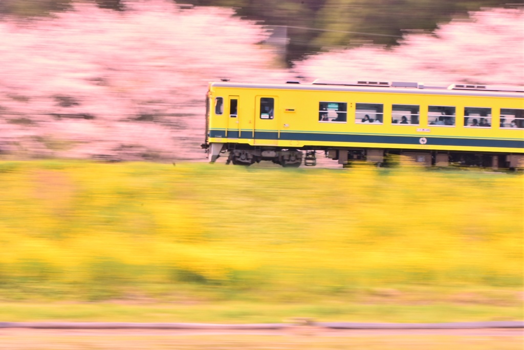 いすみ鉄道③