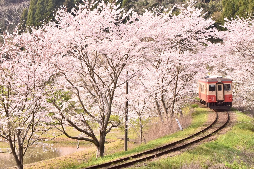 いすみ鉄道②