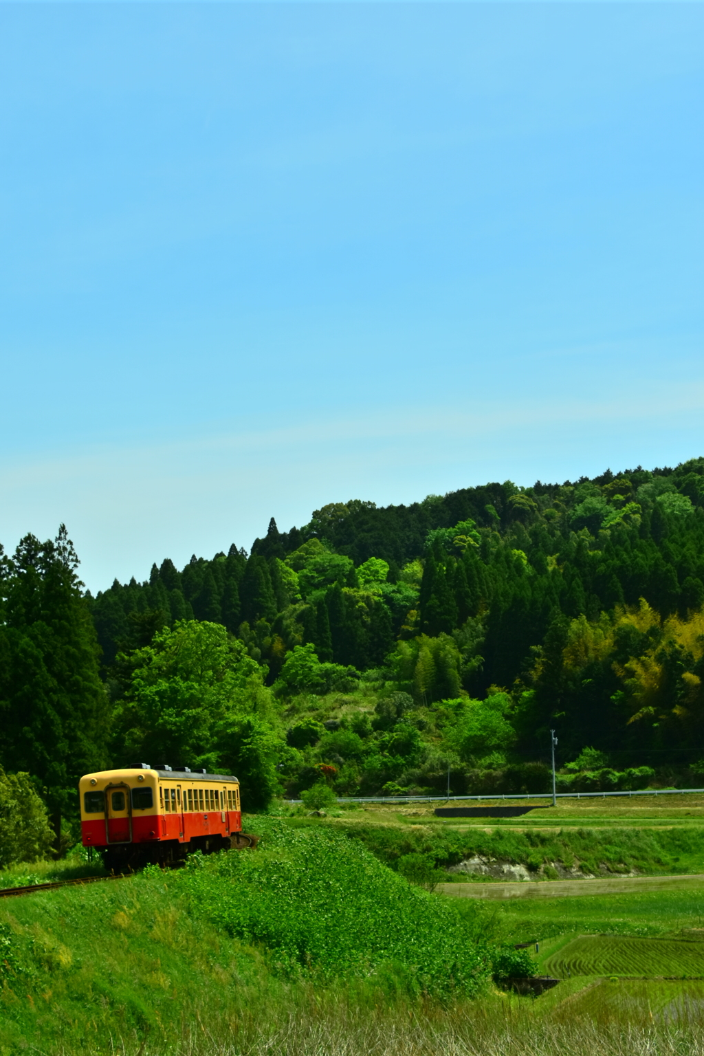 小湊鉄道の初夏①