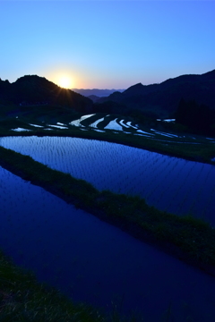 大山千枚田　夜明け②