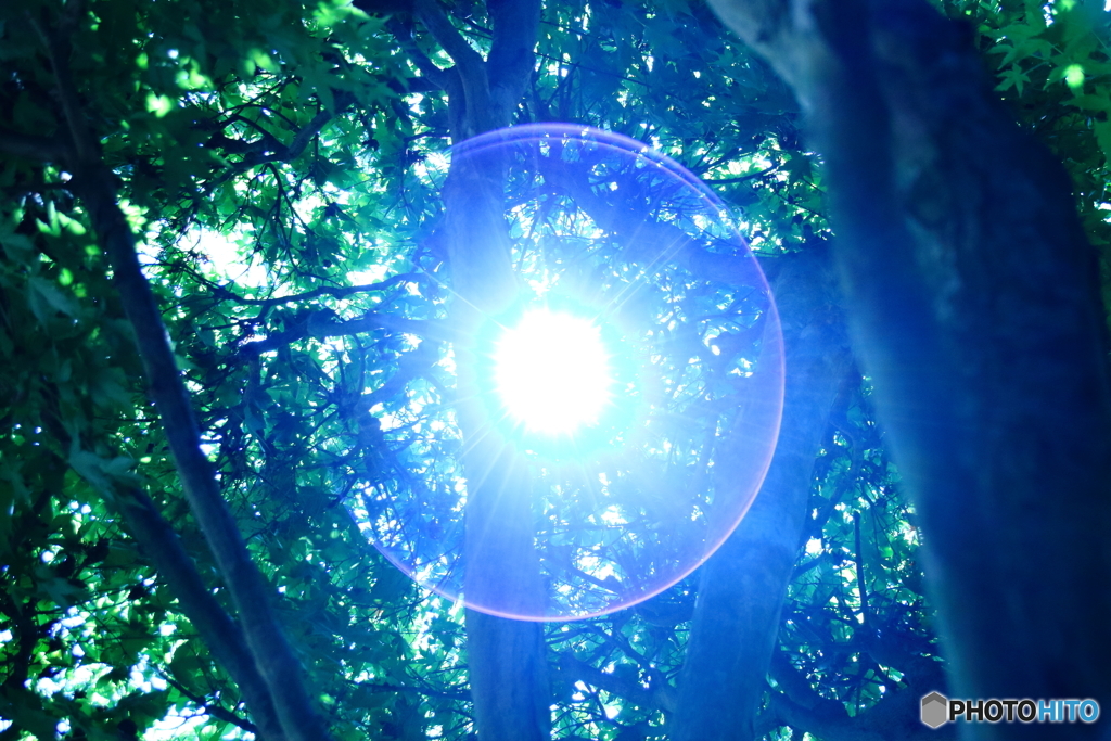 夏最後のあがき？