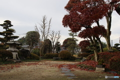 我が家の秋・・・