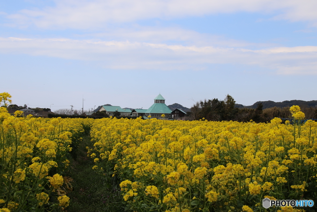 道の駅とみうら_20170311