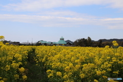 道の駅とみうら_20170311