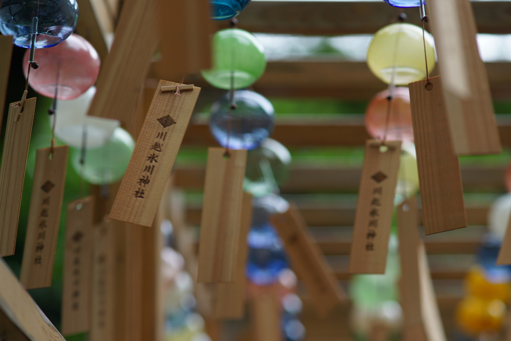 川越氷川神社の夏