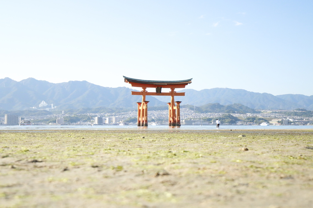 宮島大鳥居