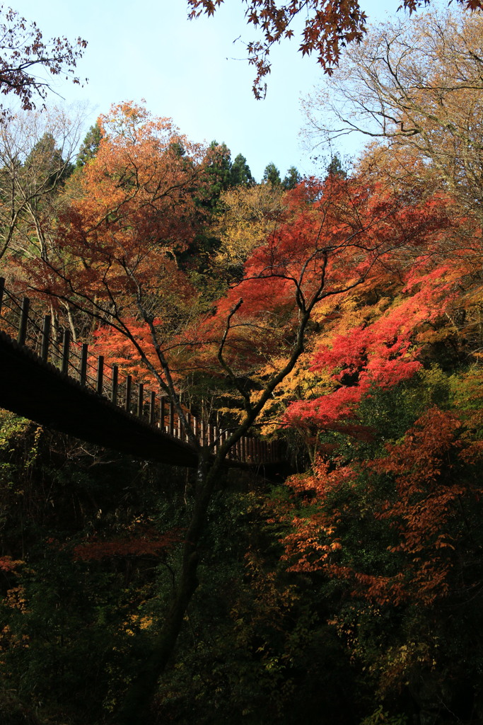 汐見滝吊り橋