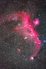 かもめ星雲