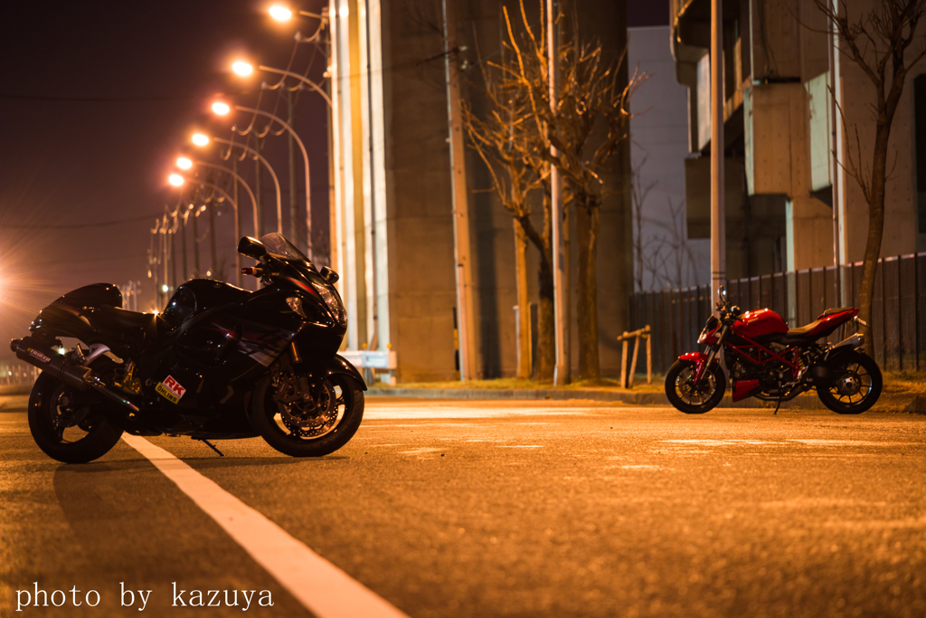 隼とDucati