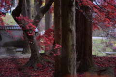 保科の清水寺