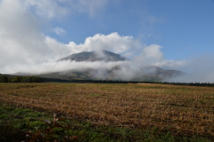 黒姫山遠望