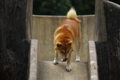 1人でできるもん