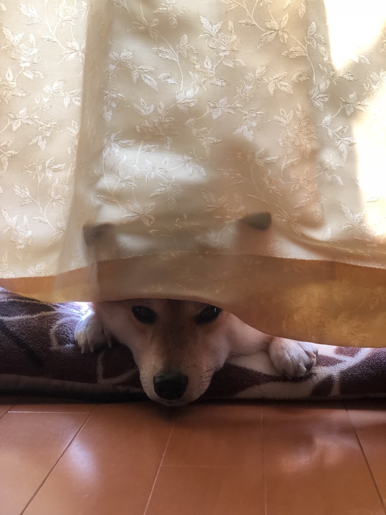 待機中