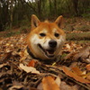 も〜いいかい？