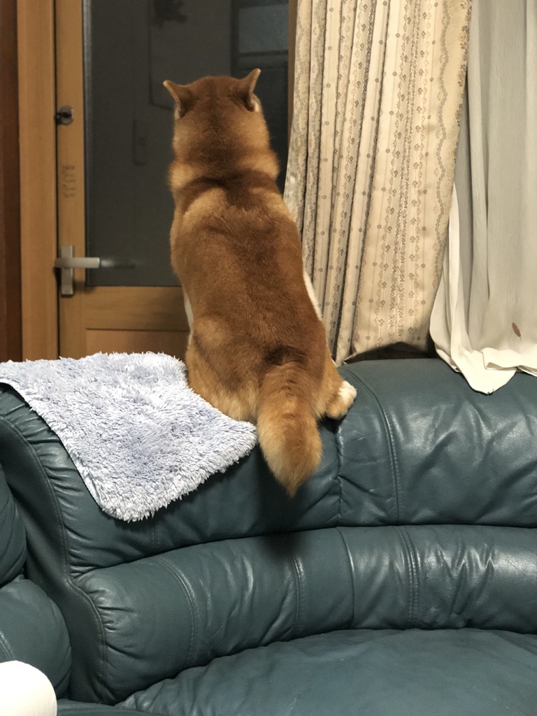 ソファーの座り方