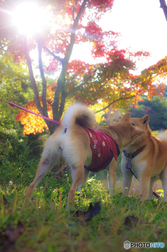 ちゅっ❤️