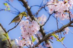 チュッ