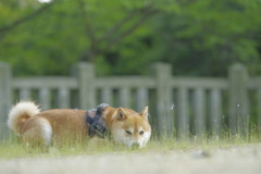 そして誰もいなくなった